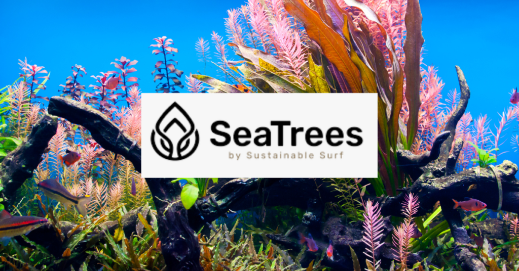 Sea Life Tree SeaTrees by Sustainable Surf Restoring Our Oceans, One Tree at a Time ...